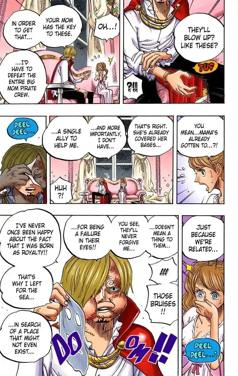 One Piece - Digital Colored Comics Chapter 845 12